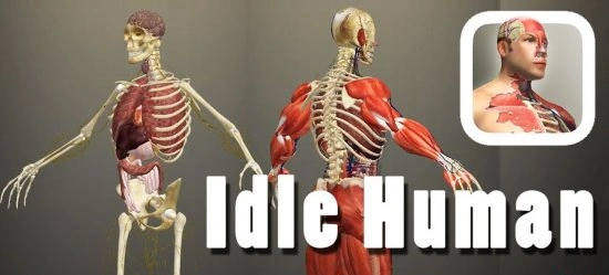 Idle Human взлом: создание человека из клеток