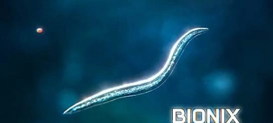 Bionix взлом - Симулятор эволюции спор и бактерий в 3D